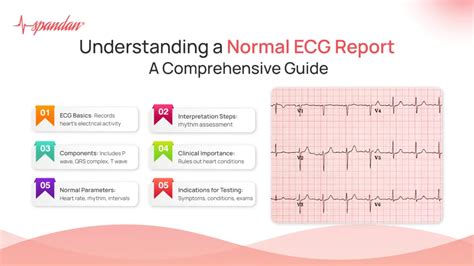 normal ecg report|Understanding an ECG .